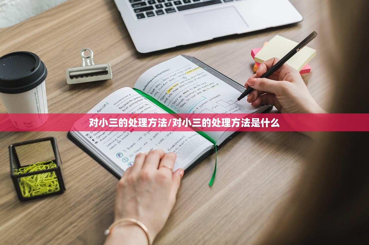 对小三的处理方法/对小三的处理方法是什么
