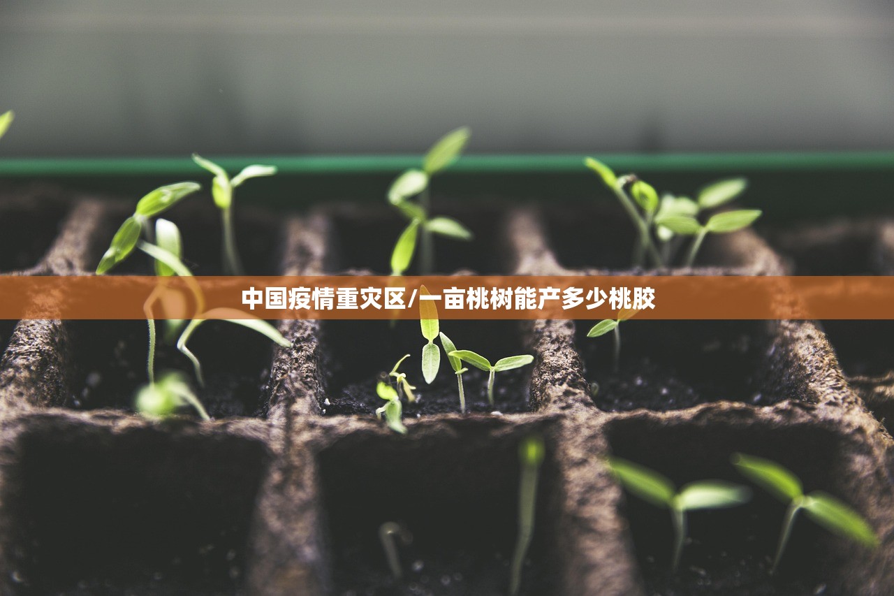 中国疫情重灾区/一亩桃树能产多少桃胶