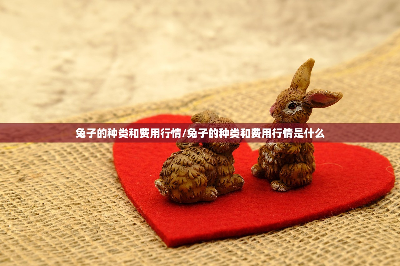兔子的种类和费用行情/兔子的种类和费用行情是什么
