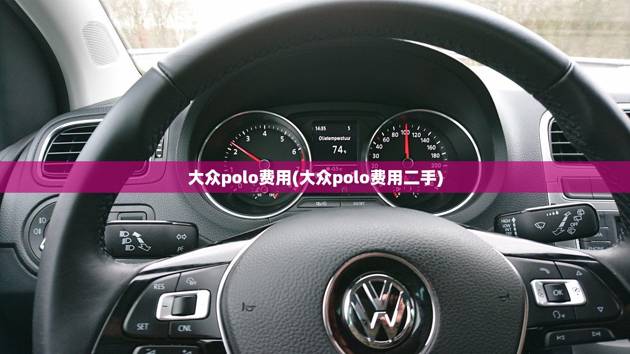 大众polo费用(大众polo费用二手)