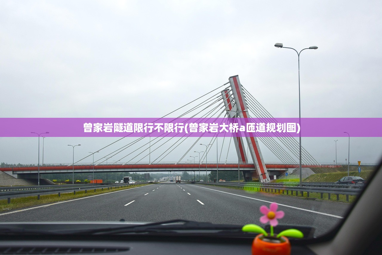 曾家岩隧道限行不限行(曾家岩大桥a匝道规划图)