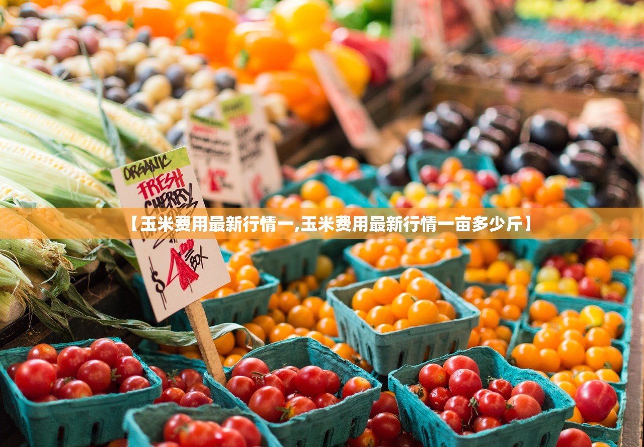 【玉米费用最新行情一,玉米费用最新行情一亩多少斤】