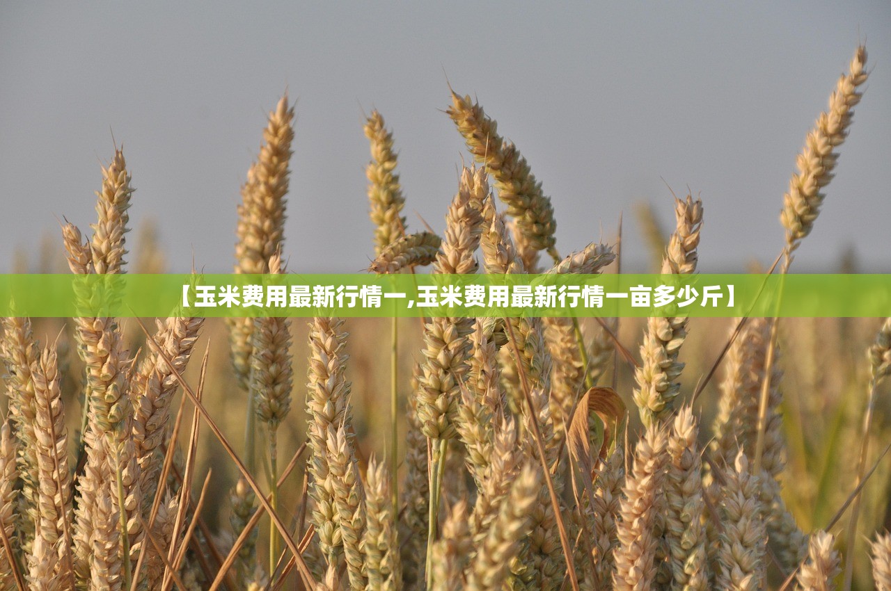 【玉米费用最新行情一,玉米费用最新行情一亩多少斤】