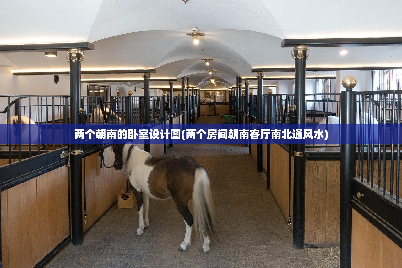两个朝南的卧室设计图(两个房间朝南客厅南北通风水)