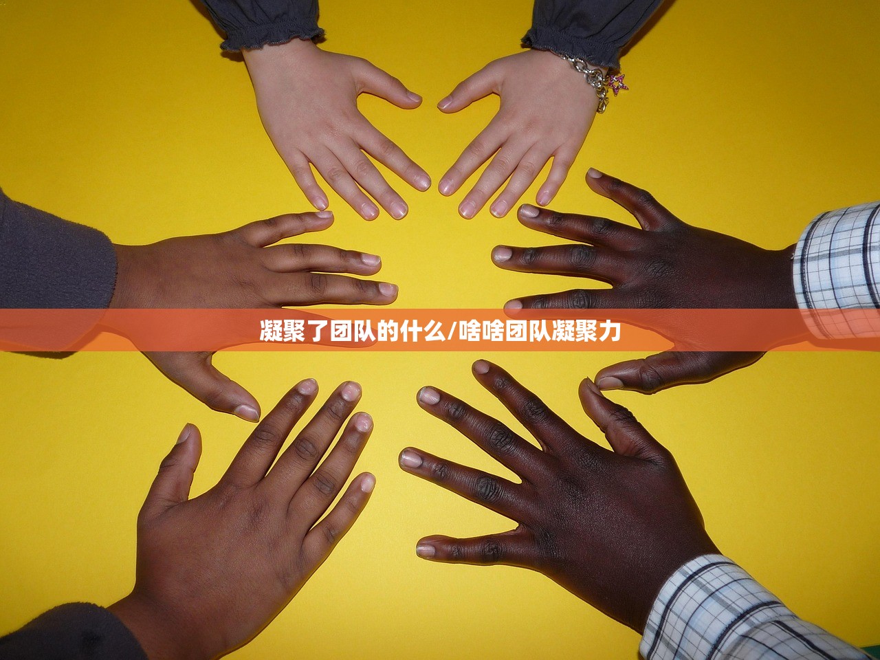 凝聚了团队的什么/啥啥团队凝聚力