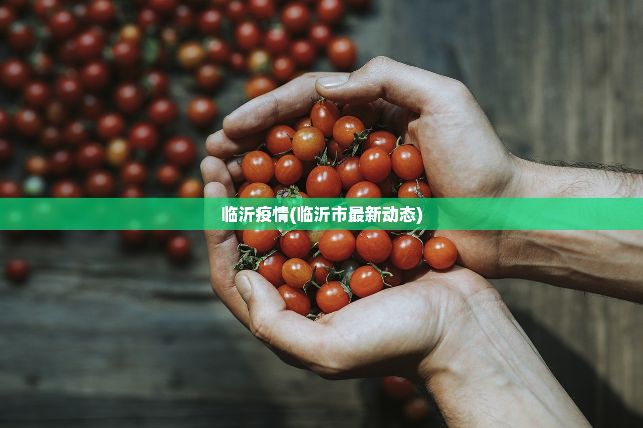 临沂疫情(临沂市最新动态)