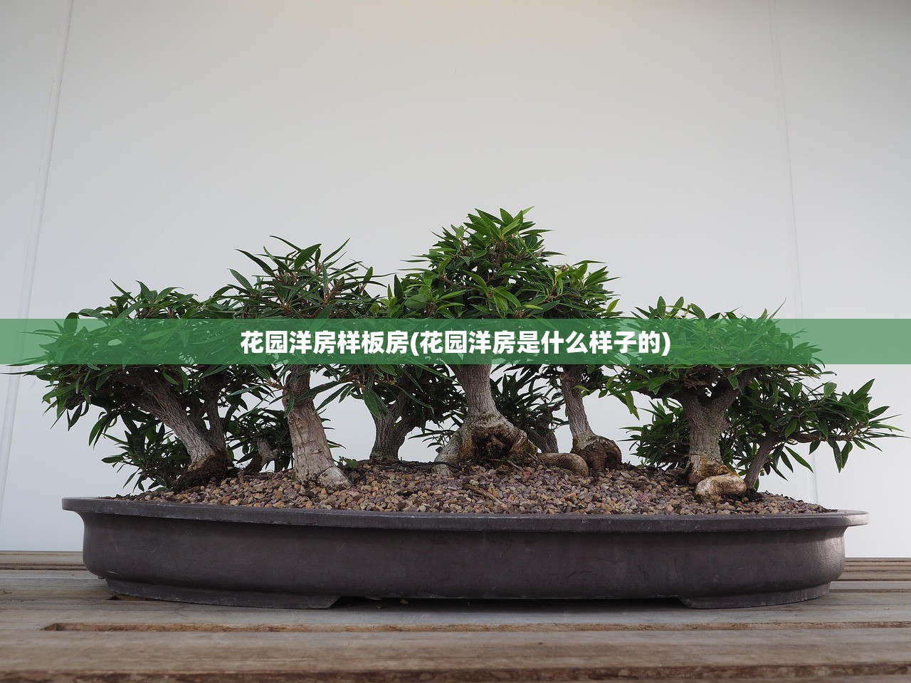 花园洋房样板房(花园洋房是什么样子的)