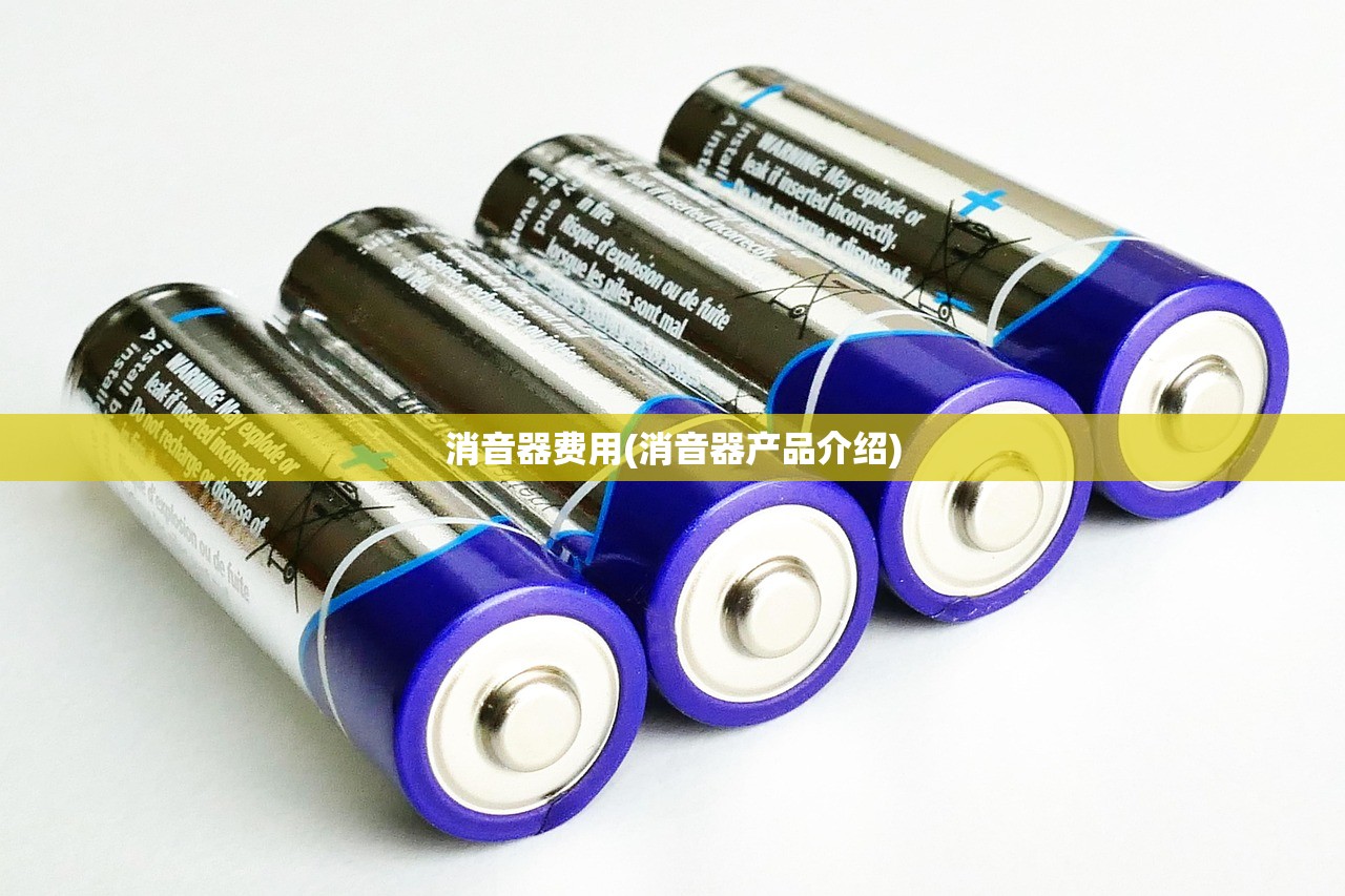 消音器费用(消音器产品介绍)