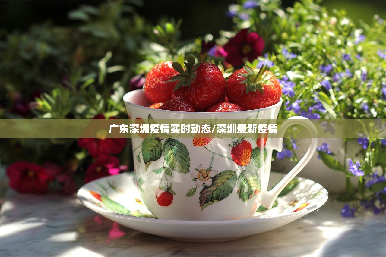 广东深圳疫情实时动态/深圳最新疫情