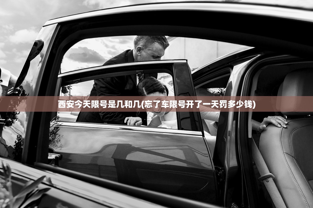 西安今天限号是几和几(忘了车限号开了一天罚多少钱)