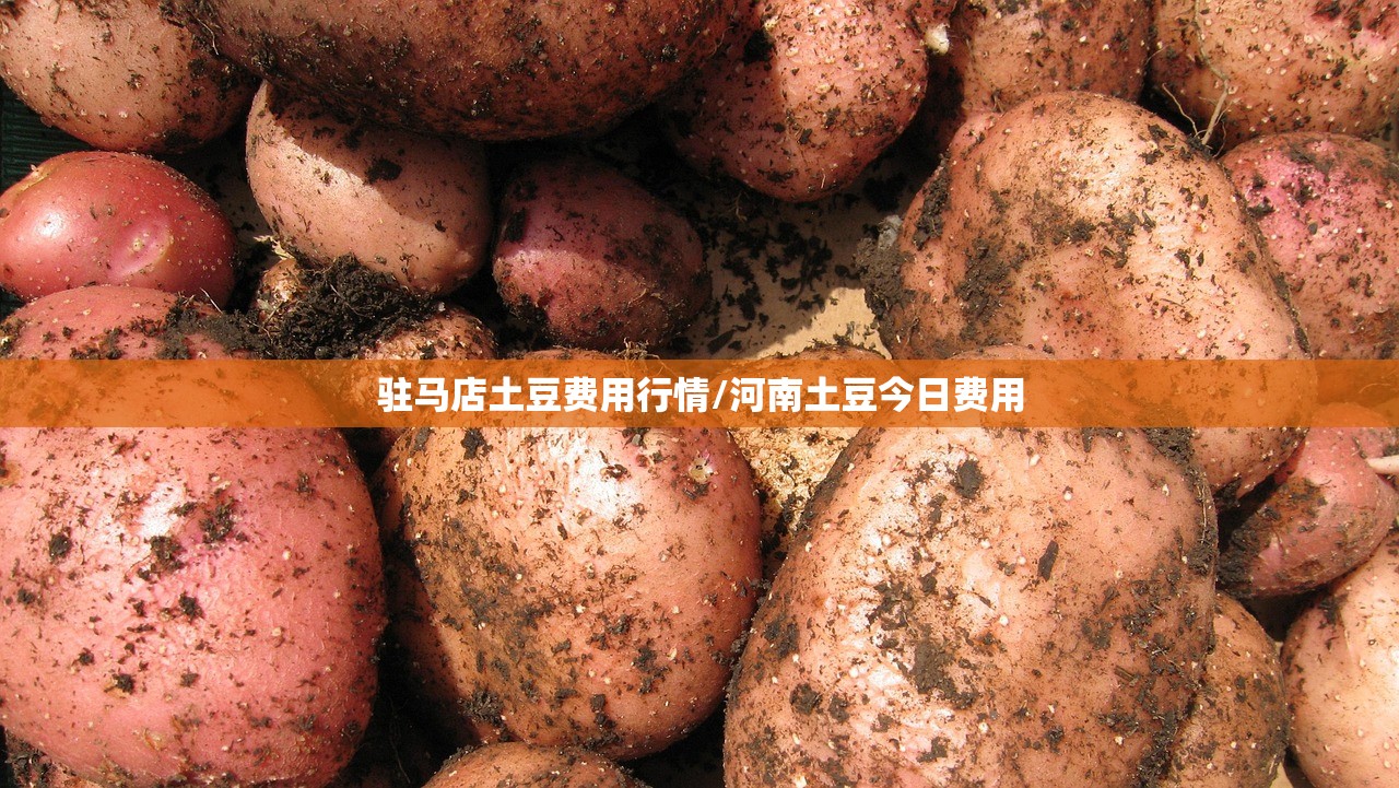 驻马店土豆费用行情/河南土豆今日费用