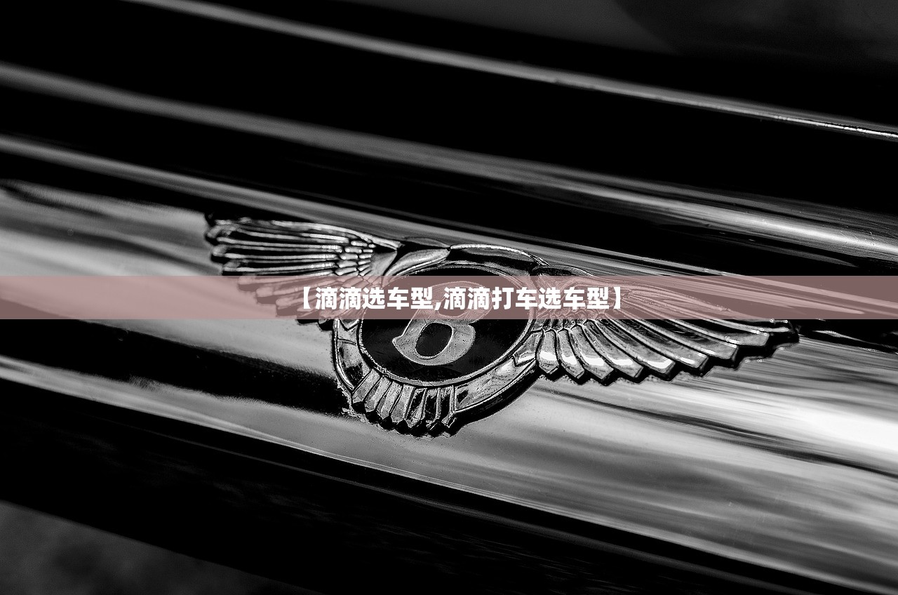 【滴滴选车型,滴滴打车选车型】