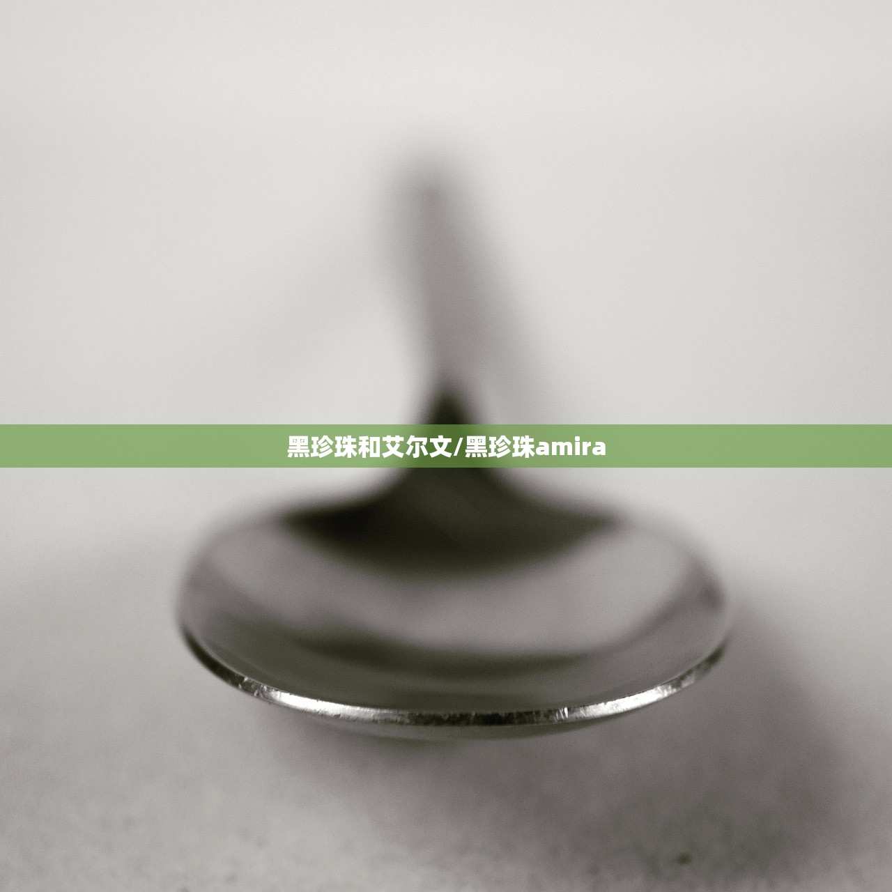黑珍珠和艾尔文/黑珍珠amira