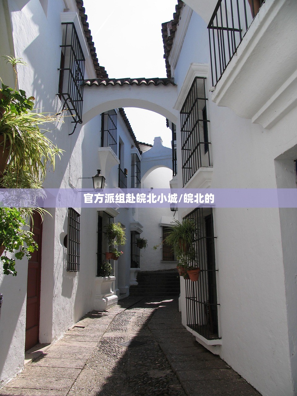 官方派组赴皖北小城/皖北的