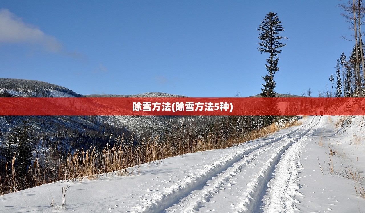 除雪方法(除雪方法5种)