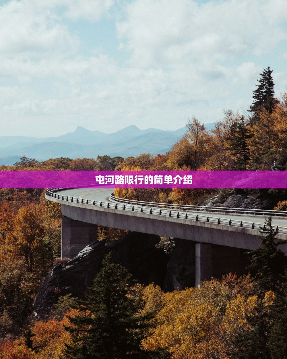 屯河路限行的简单介绍
