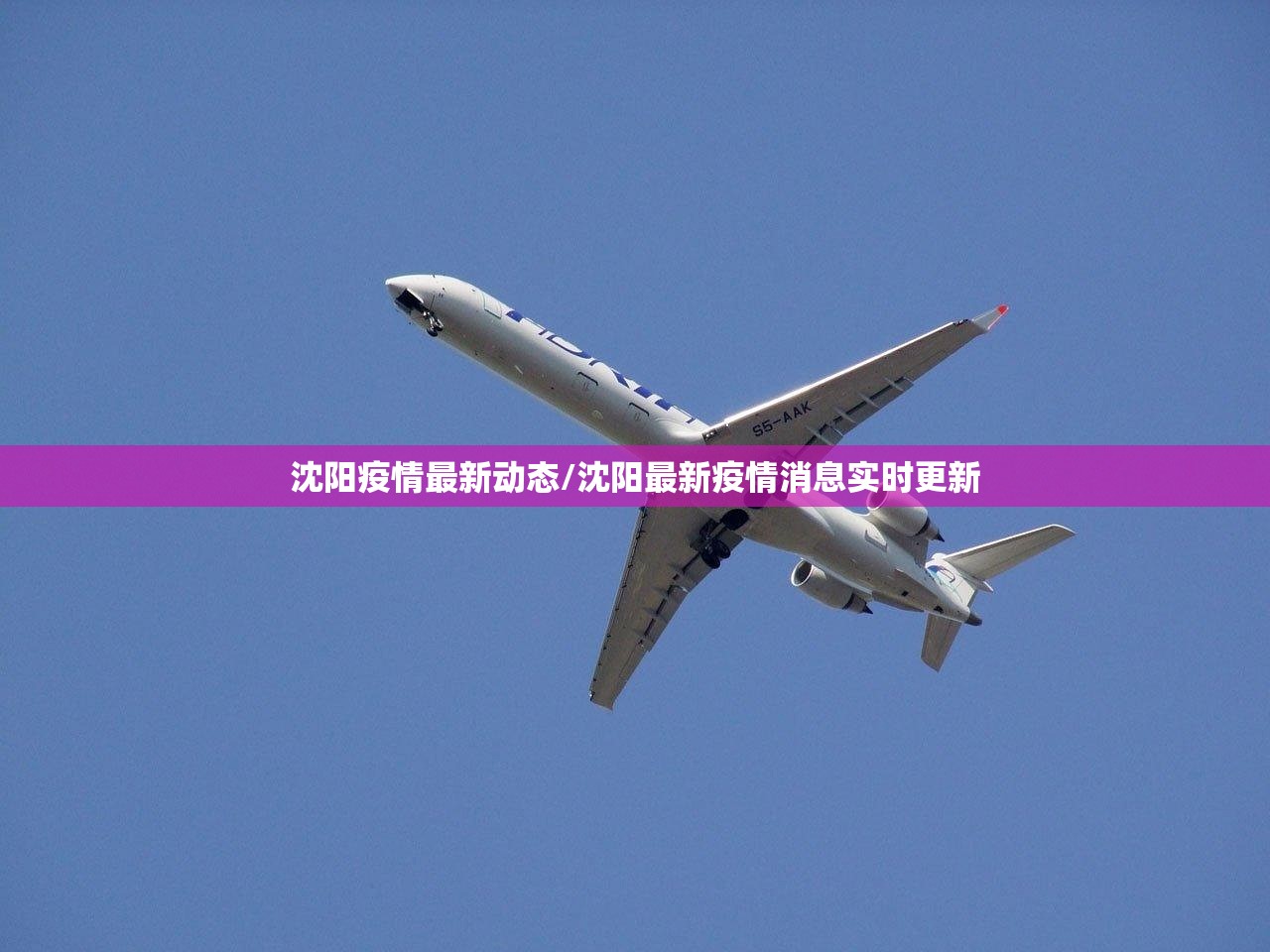 沈阳疫情最新动态/沈阳最新疫情消息实时更新