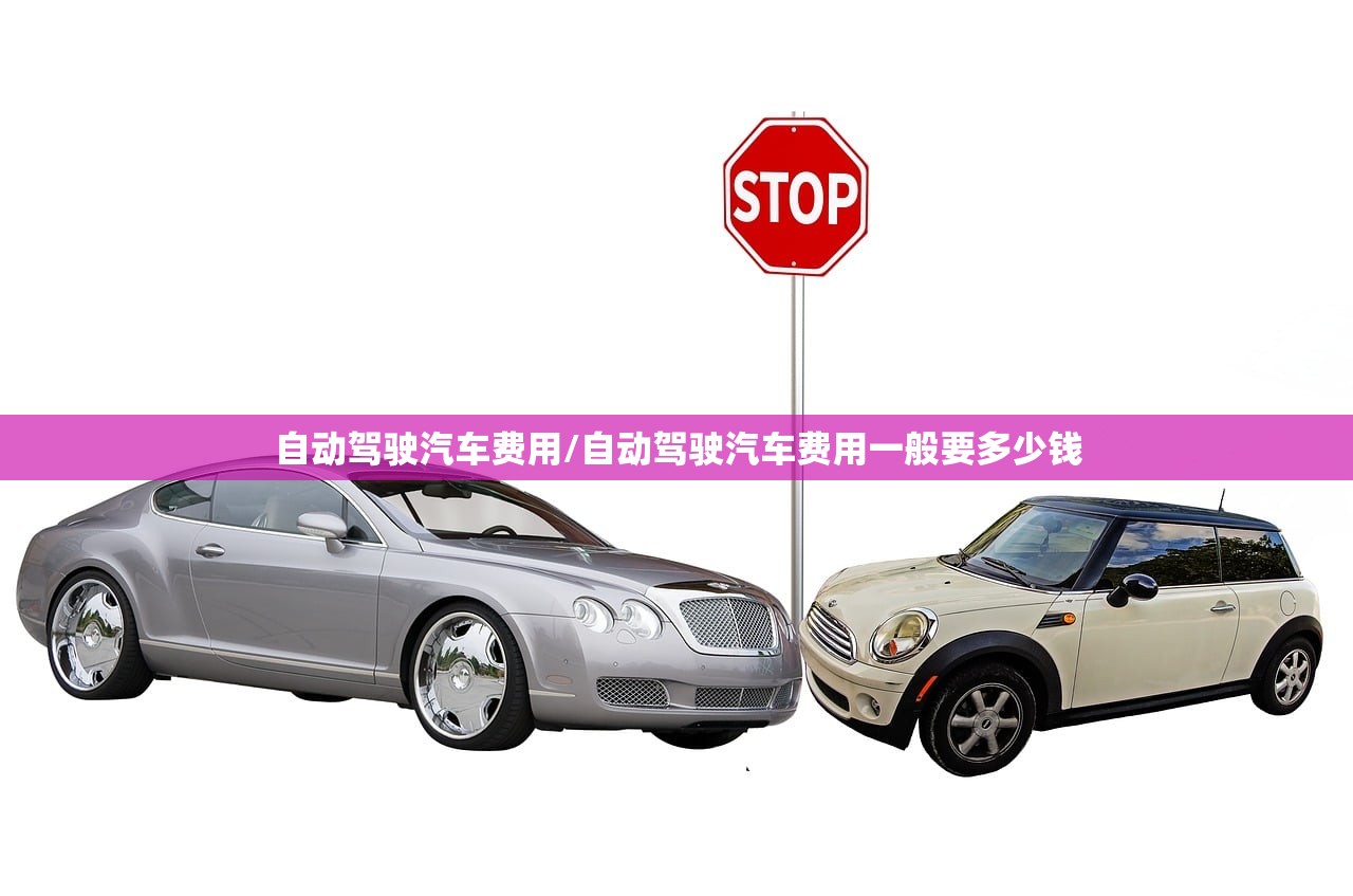 自动驾驶汽车费用/自动驾驶汽车费用一般要多少钱