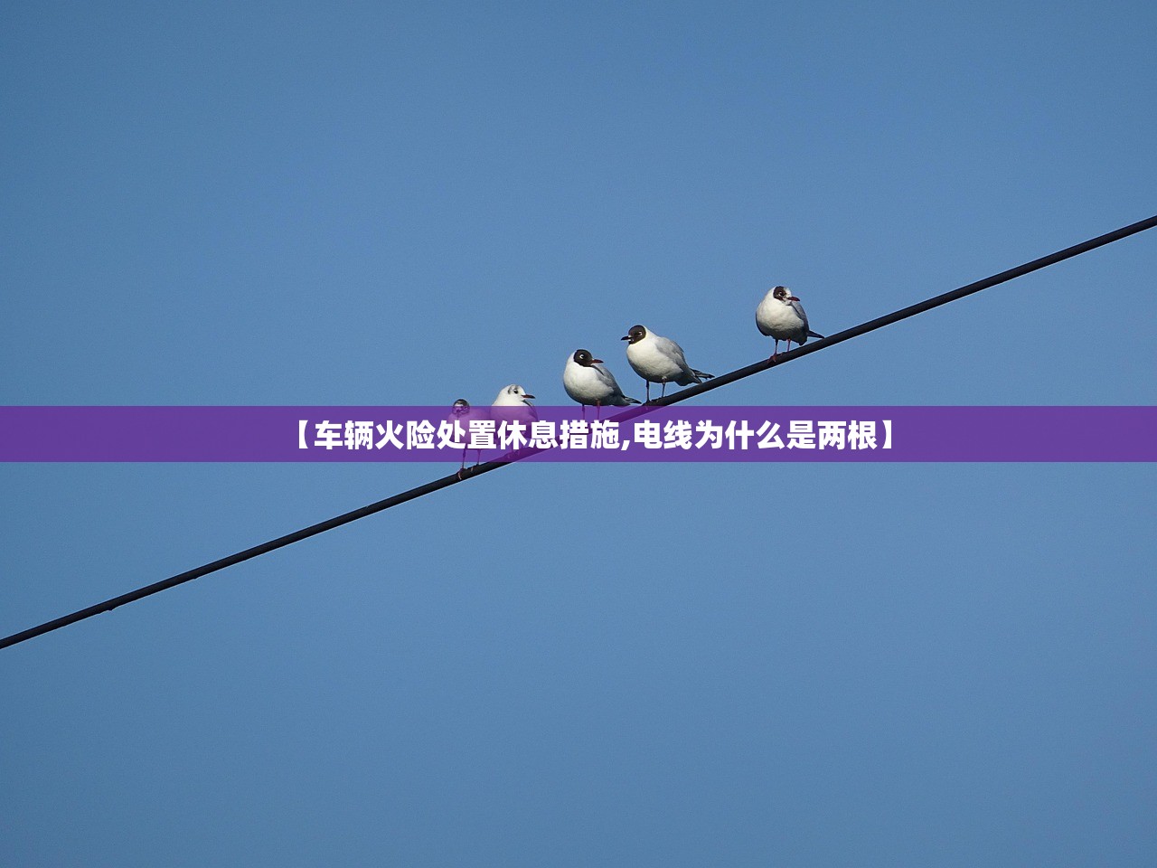 【车辆火险处置休息措施,电线为什么是两根】 【车辆火险处置休息措施,电线为什么是两根】