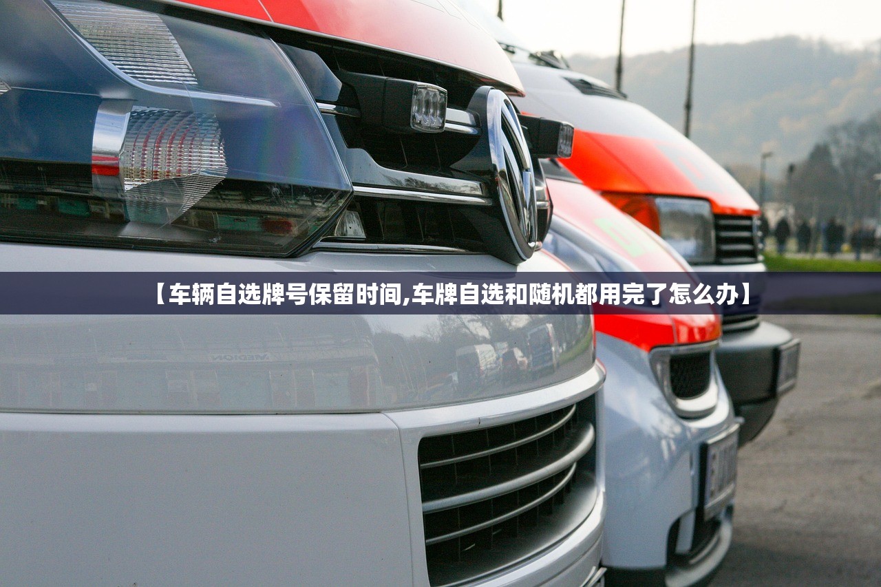 【车辆自选牌号保留时间,车牌自选和随机都用完了怎么办】
