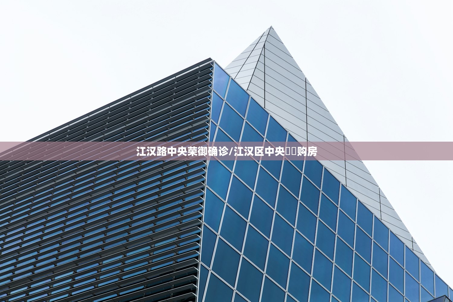 江汉路中央荣御确诊/江汉区中央雲璟购房