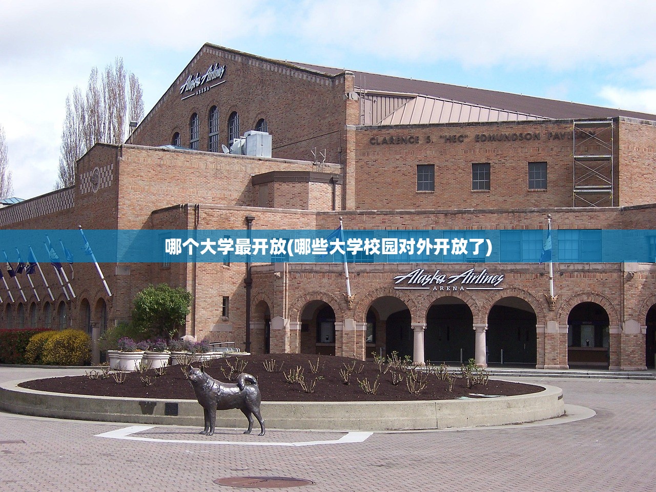 哪个大学最开放(哪些大学校园对外开放了)