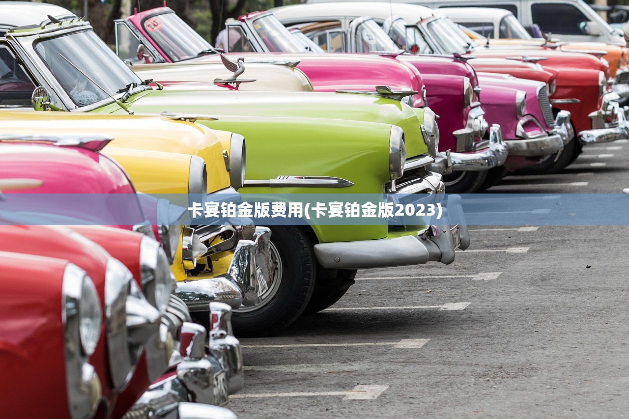 卡宴铂金版费用(卡宴铂金版2023)
