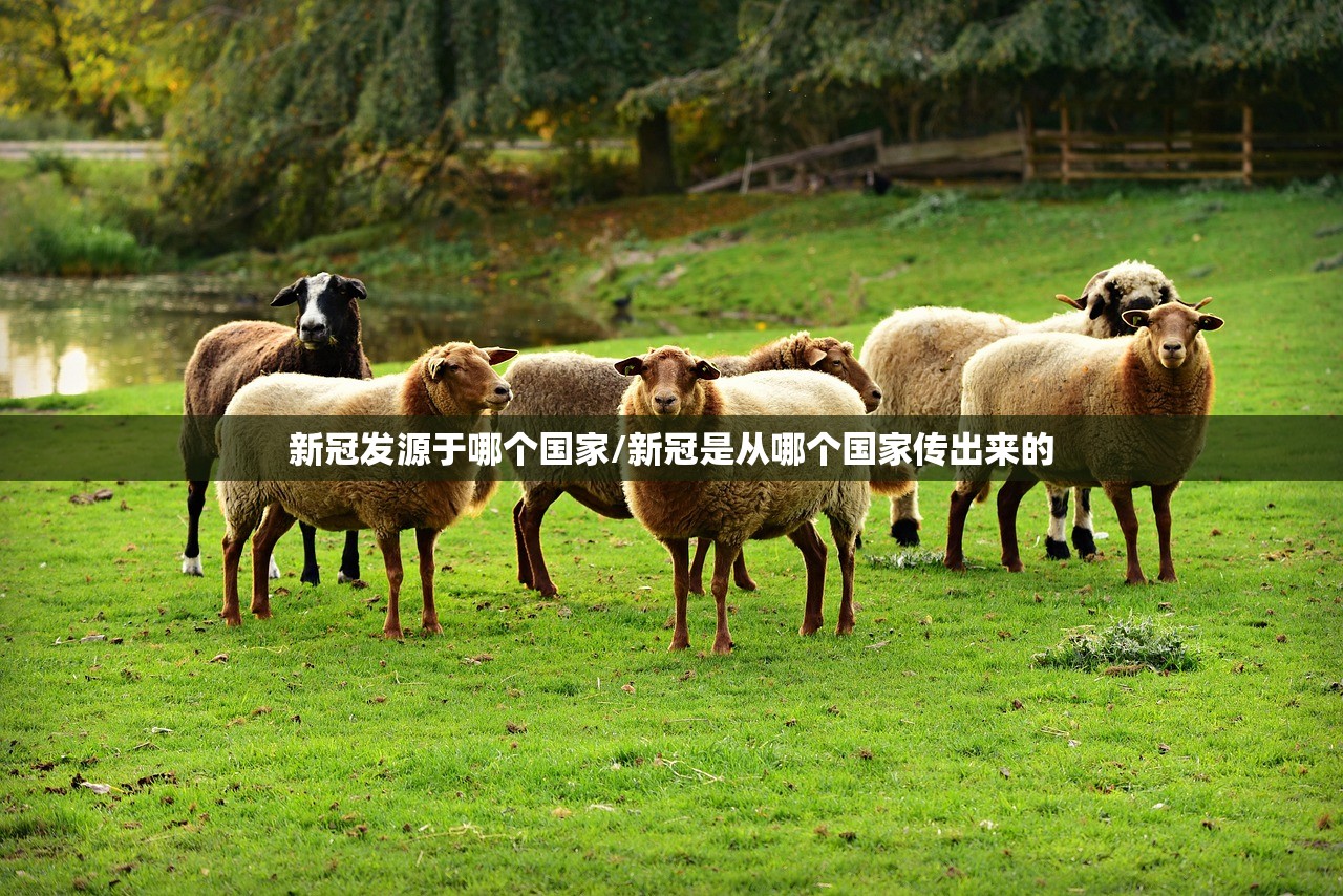 新冠发源于哪个国家/新冠是从哪个国家传出来的