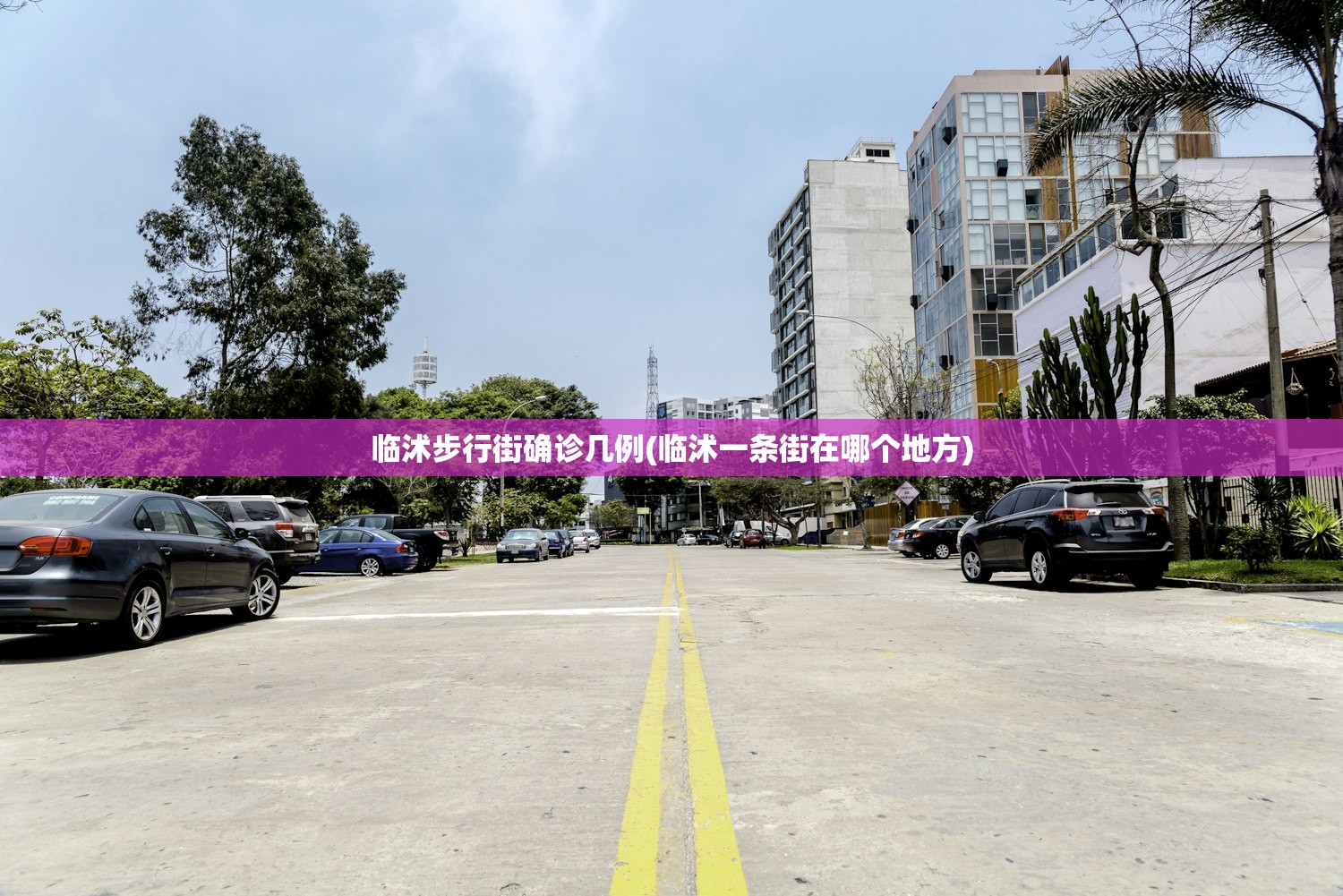 临沭步行街确诊几例(临沭一条街在哪个地方)