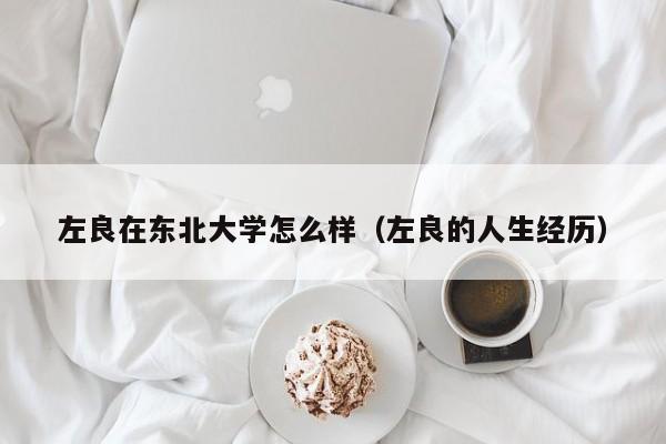 左良在东北大学怎么样(左良的人生经历)