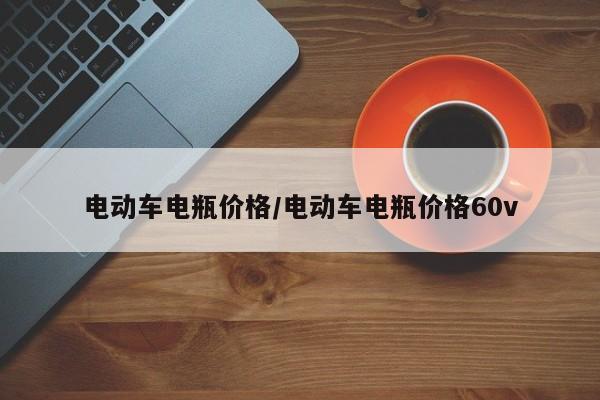 电动车电瓶价格/电动车电瓶价格60v