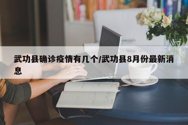 武功县确诊疫情有几个/武功县8月份最新消息