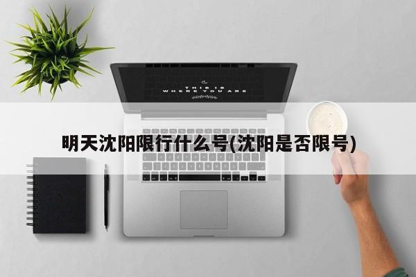 明天沈阳限行什么号(沈阳是否限号)