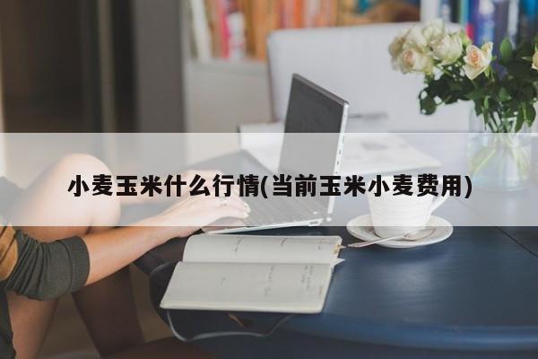 小麦玉米什么行情(当前玉米小麦费用)