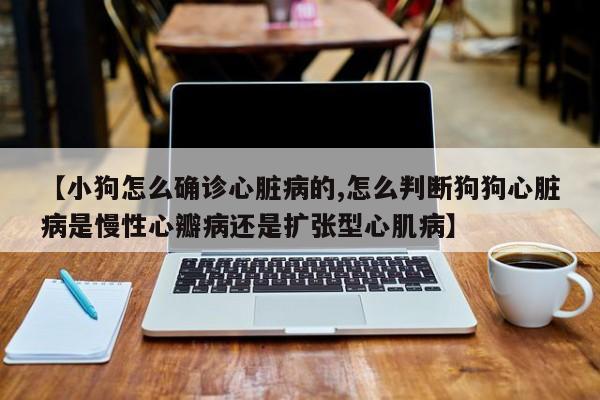 【小狗怎么确诊心脏病的,怎么判断狗狗心脏病是慢性心瓣病还是扩张型心肌病】