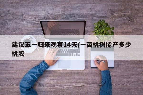 建议五一归来观察14天/一亩桃树能产多少桃胶
