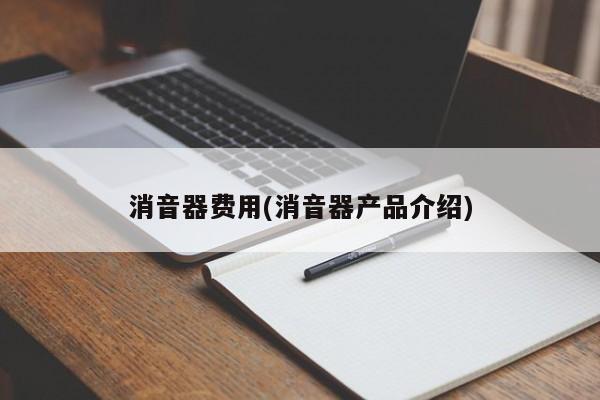 消音器费用(消音器产品介绍)
